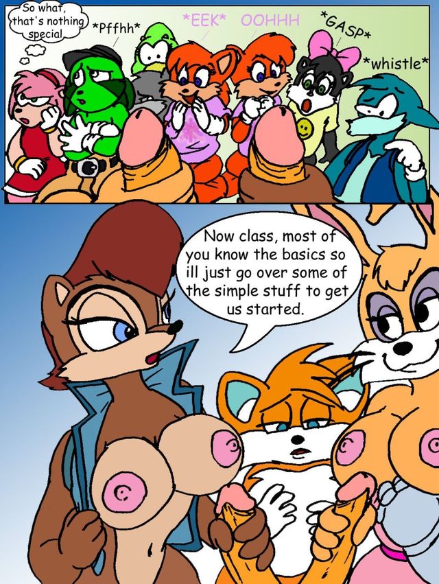 sonic sally hentai pictures album sonic teachers pet hedgehog furries