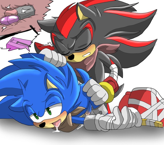 sonic the hedge hog hentai 