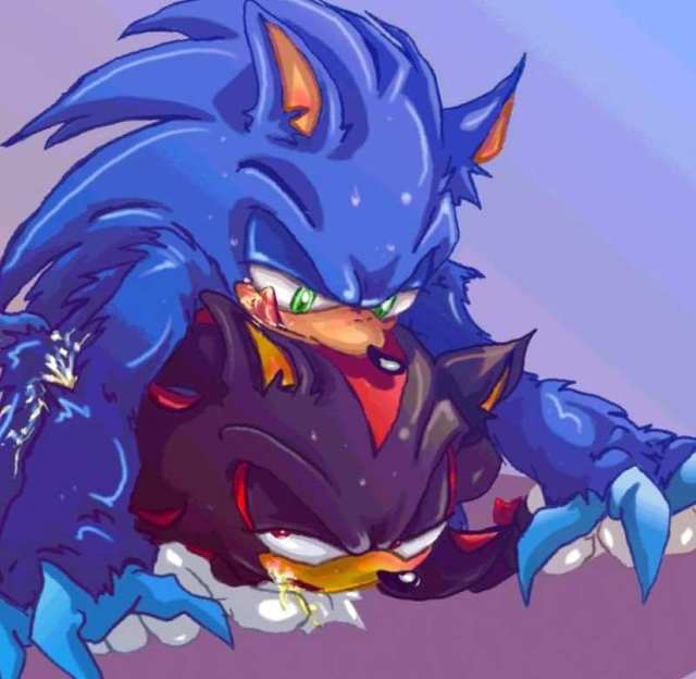 sonic the hedge hog hentai hentai pics sonic pokemon hedgehog gay