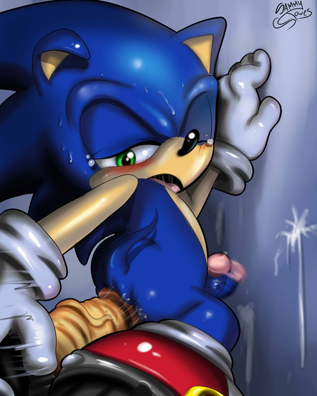 sonic the hedge hog hentai page cab sonic team hedgehog sammy stowes