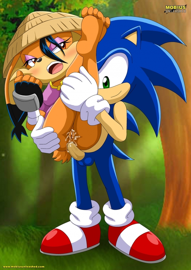 sonic x hentai hentai sonic shahra