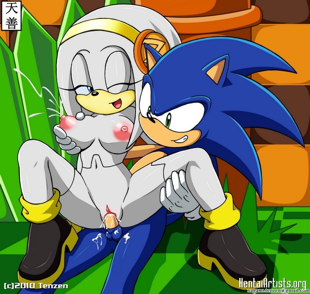 sonic x rouge hentai sonic commission fullsize zeta