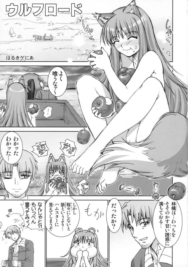 spice and wolf hentai manga hentai manga wolfroad