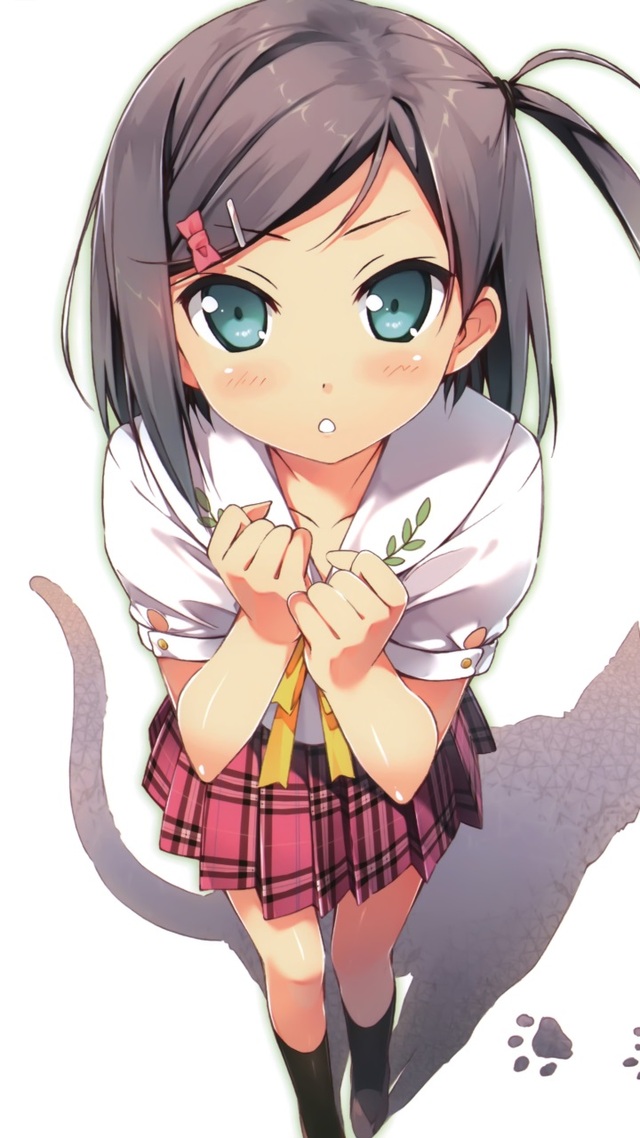 hentai x hentai wallpaper ouji warawanai neko tsutsukakushi tsukiko acer cloudmobile