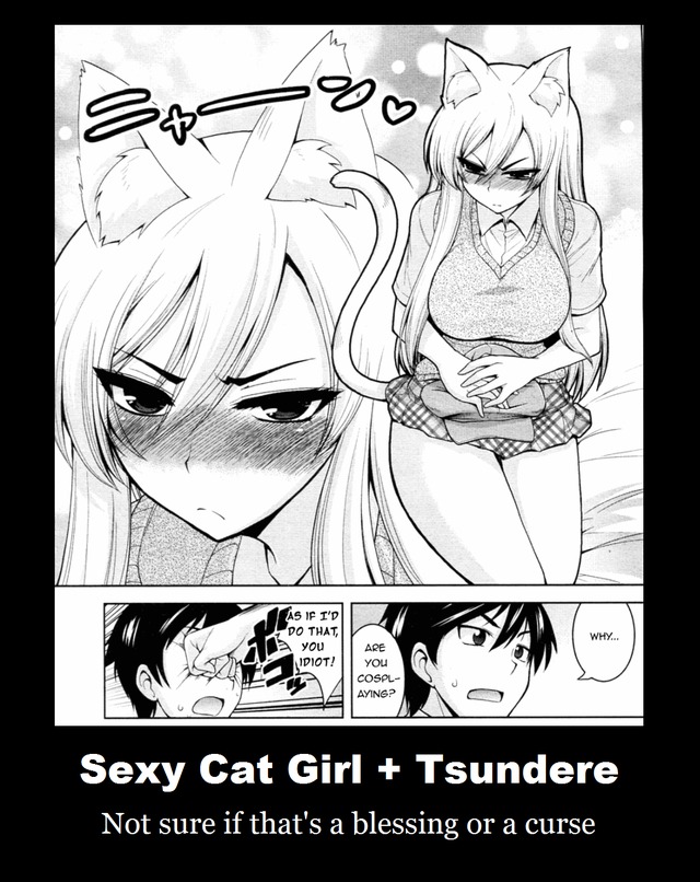 hot cat woman hentai girl art sexy demotivational poster fan cat tsundere ranmano rachnera