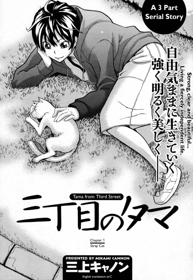 human highlight film hentai third gallery chapter from mangas street tama