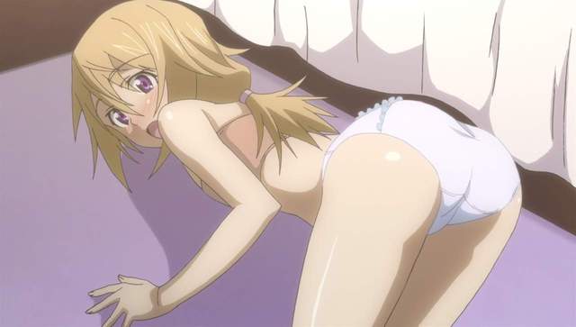 infinite stratos hentai pics page infinite stratos inf