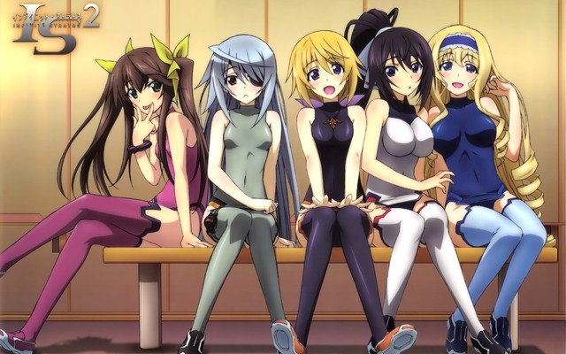 infinite stratos hentai all cant this wallpaper data infinite stratos wait infinitestratos tatenashi sarashiki