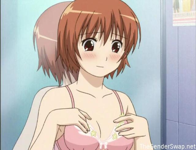 kashimashi girl meets girl hentai anime porno video girl porn pics transformation meets gender kashimashi