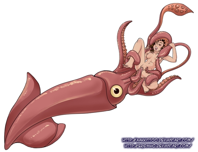 squid girl hentai pictures user squid aakkittoo