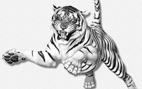 el hentai media original tigre blanco wallpapers papel pintado