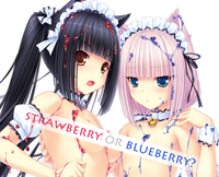 el hentai blueberry rashbarry nekomimi ecchi sisters sayori mangaka