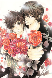 hatsukoi hentai sekaiichi hatsukoi hentai manga