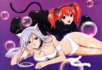 vampire hentai hentai gallery album official art vampire sisters dressed cat girls