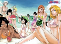 bleach hentai thumbnails detail hentai bleach wallpaper wallmay anime