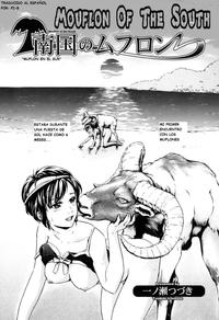 cowboy bebop hentai zoohentai doujin mouflon south espanol zoo