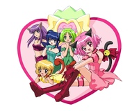 mew mew power hentai animal ears catgirl fong pudding fujiwara zakuro midorikawa lettuce mint aizawa momomiya ichigo tokyo mew anime funny cool