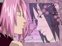 sakura & sasuke hentai sasuke sakura love