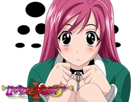 rosario + vampire hentai wall rosario vampire anime hentai