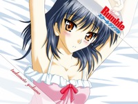 school rumble hentai wallpaper school rumble tsukamoto yakumo anime