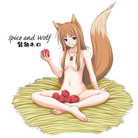 spice and wolf hentai photo