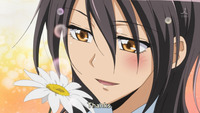 misaki chronicles hentai maidsama kaichou maid sama