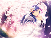 fate/stay night hentai cherry blossoms fate stay night sakura hentai wallpaper