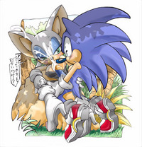 sonic the hedgehog  hentai erosuke rouge bat sonic team hedgehog entry