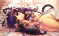 tsukuyomi moon phase hentai thumbnails detail nekomimi tsukuyomi moon phase wallpaper wallmay inuyasha cat ears anime