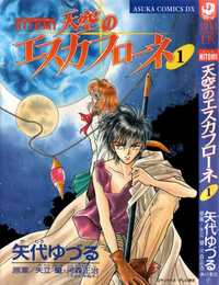 vision of escaflowne hentai store manga compressed escaflowne cover journal