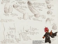 penis hentai amayahayate pictures user how draw penis page all