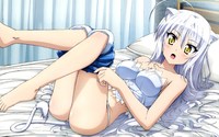 amaenaideyo hentai data wallpaper dogdays dog days