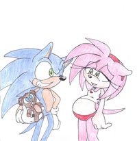 amy rose hentai game sonamy pregnant amy rose crystal
