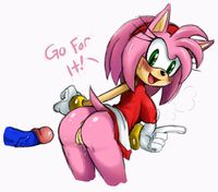 amy rose sonic hentai amy rose sonic team furries pictures album artist sssonic