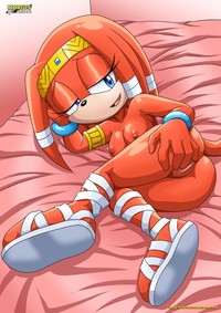 amy rose the hedgehog hentai sonic hedgehog amy hentai