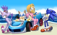 amy rose the hedgehog hentai sonic team hedgehog amy rose rouge bat blaze cat tikal echidna