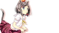 animal ear hentai fcba konachan animal ears hentai ouji warawanai neko kantoku tsutsukakushi tsukiko show