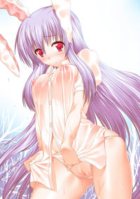 animal ears hentai albums touhou picture vol moe animal ears breasts bunny cameltoe nipples pantsu reisen udongein inaba see through suzume inui wet clothes hentai categorized wallpapers galleries