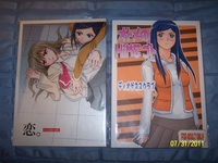 anime hentai doujinshi pictur anime manga collectionbox sets volumes merch