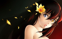 anime hentai girl pics data media anime beautiful girl wallpaper detailsfx