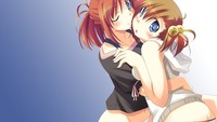 anime hentai wallpapers hentai ecchi sister anime girls wallpaper