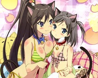 anime shuffle hentai data wallpaper tsukiko tsukushi cat