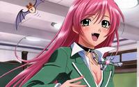 anime vampire hentai wallpapers hentai anime max galer rosario vampire wallpaper