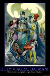 batman catwoman hentai org demotivational poster holy viagra batman batgirl catwoman harley quinn