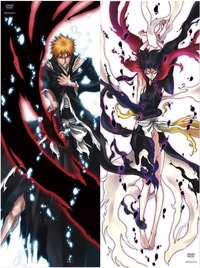 bleach apache hentai albums reveriem bleach foro