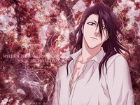 byakuya hentai albums vivid hedgehog wallpaper byakuya