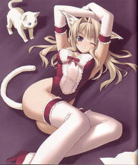 catgirl hentai pictures catgirls