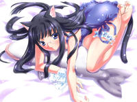 catgirl hentai pictures anime cartoon porn catgirl hentai package photo