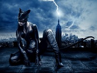 catwoman hentai comics ntposter itm hot catwoman comics night print poster