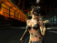 catwoman hentai game games gamecube action adventure catwoman profilelarge free game cat woman pceng